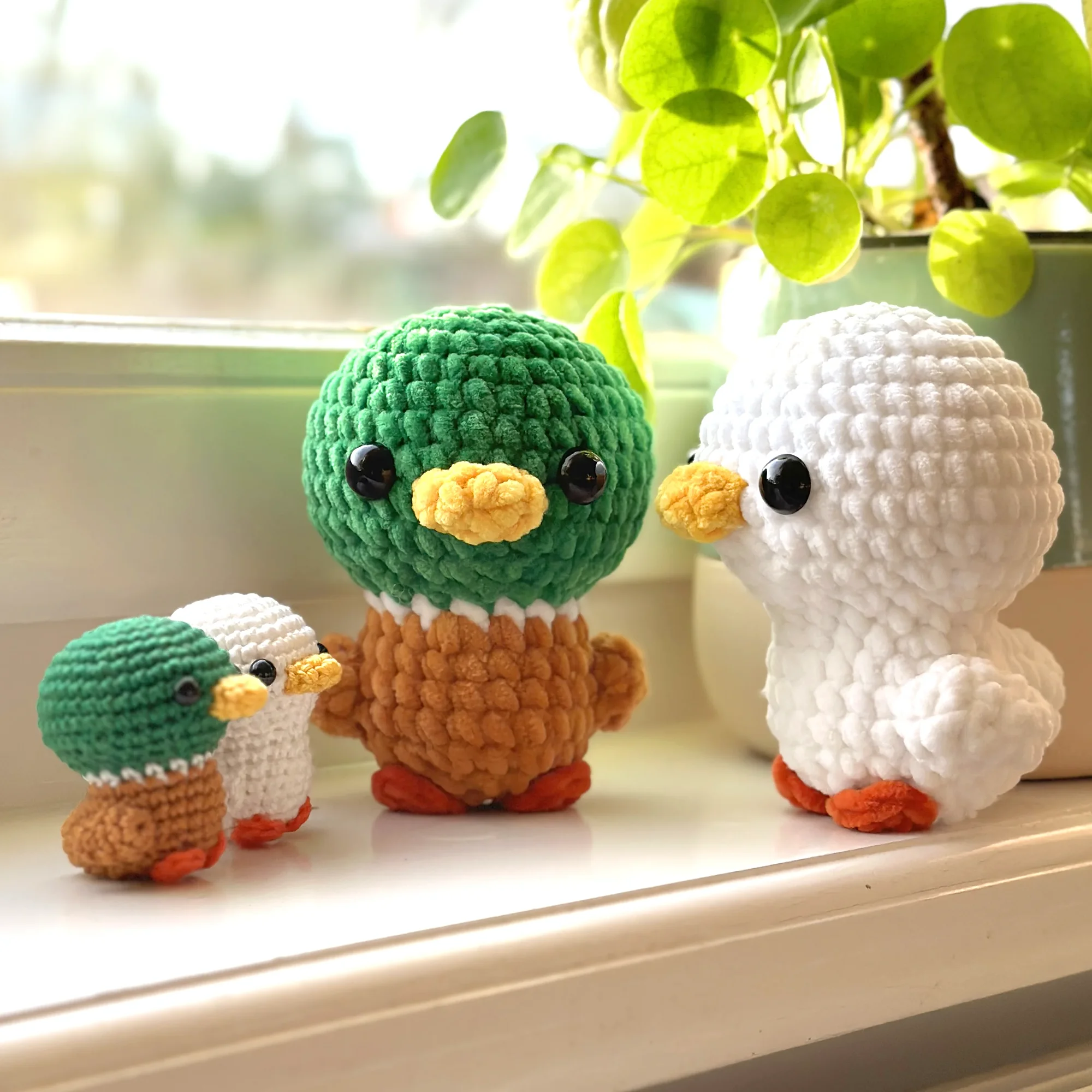 duck